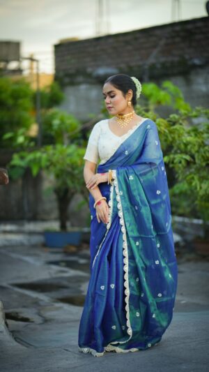 Naaz Embroidered Tissue Saree- AFREEN
