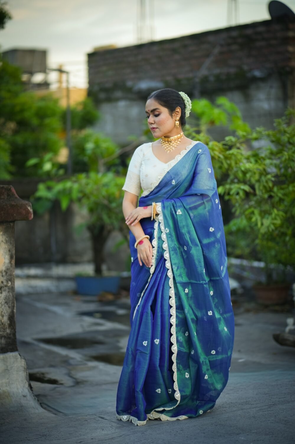 Naaz Embroidered Tissue Saree- AFREEN