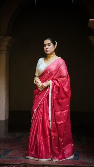 Naaz Embroidered Tissue Saree- FIRDAUS