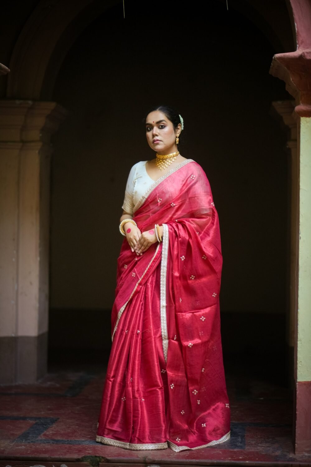 Naaz Embroidered Tissue Saree- FIRDAUS