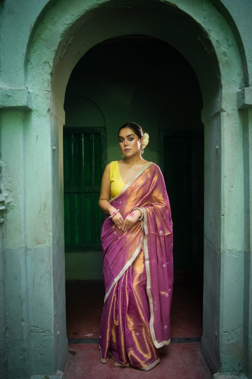 Naaz Embroidered Tissue Saree- NOOR